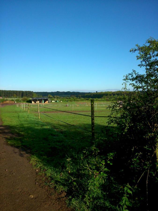 Clumber Lane End Farm Bed & Breakfast Worksop Exterior photo