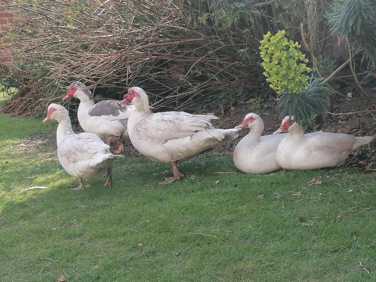 Clumber Lane End Farm Bed & Breakfast Worksop Exterior photo